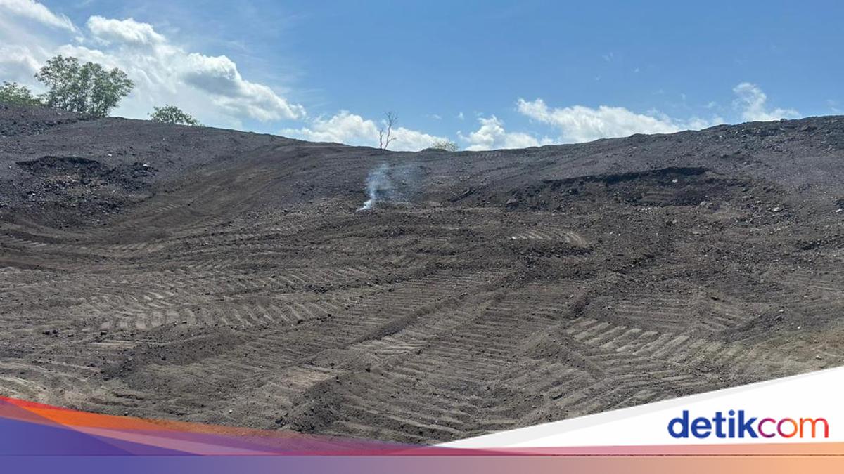 Kejagung Lelang 436 Ribu Ton Batu Bara Rp 178 M Terkait Kasus Samin Tan