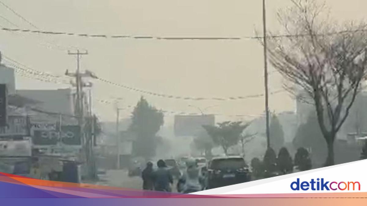 11 Daerah di Jambi Terdampak Asap Karhutla, Ini Tanggapan Al Haris