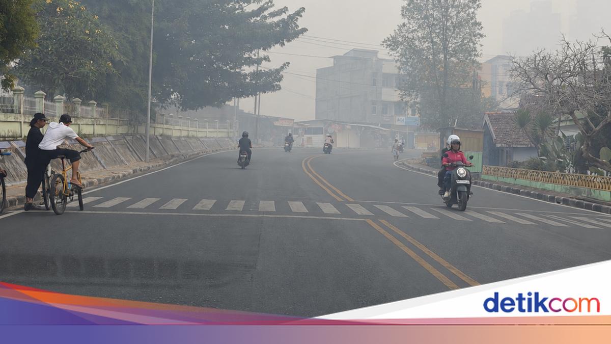 Kemenkes RI Catat 174 Ribu Kasus ISPA di Wilayah Terdampak Karhutla