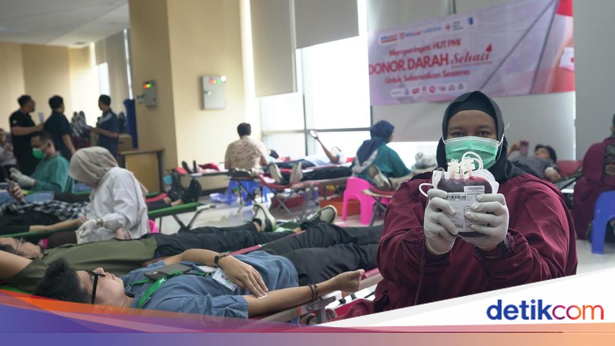 Libatkan Karyawan, Alfamart Gelar Aksi Donor Darah di 28 Lokasi