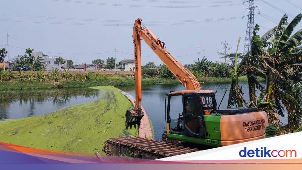 Aliran Kanal Banjir Timur Menghijau Bak Matca, Ternyata Ini Penyebabnya