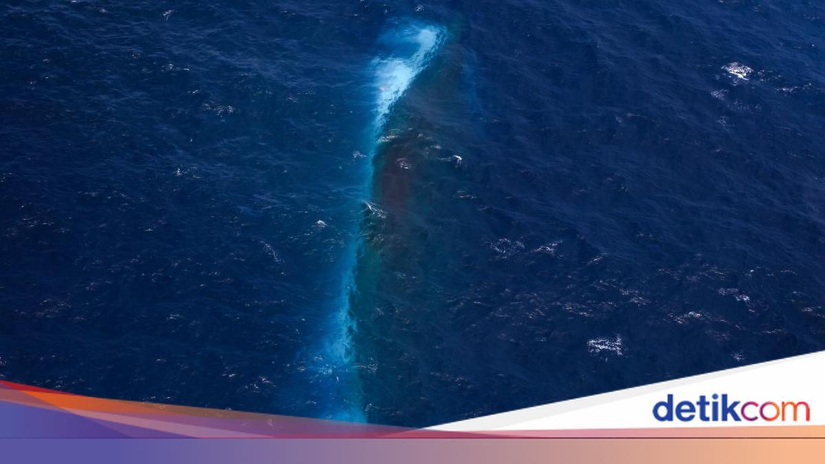 Tim Penyelam Tembus Kamar KM Virgo yang Tenggelam, Temukan Banyak Jasad