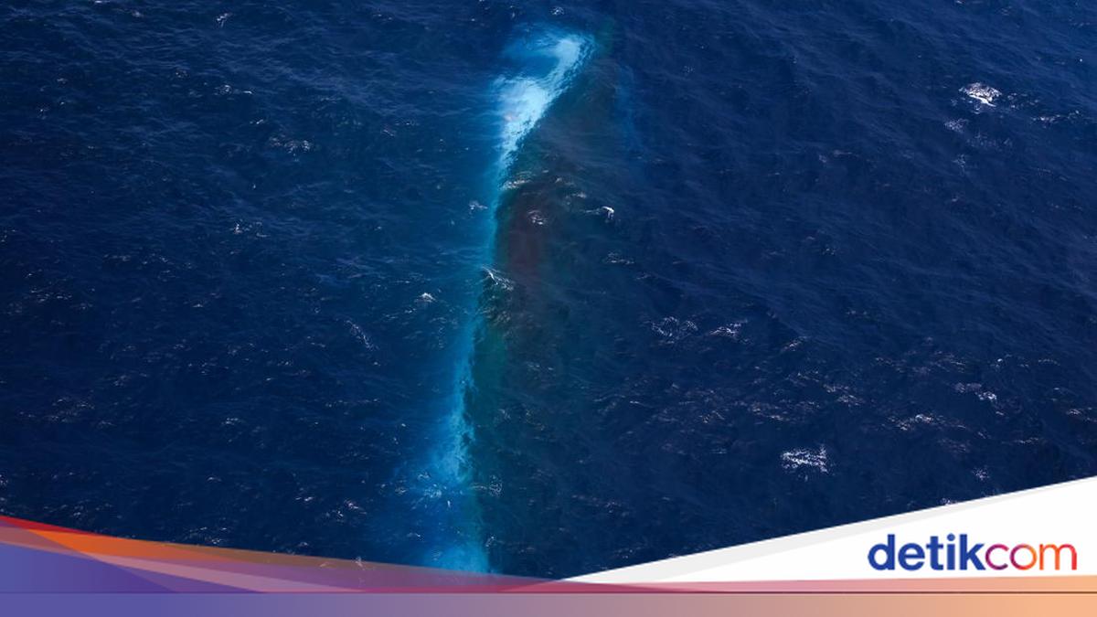 Tim Penyelam Tembus Kamar KM Virgo yang Tenggelam, Temukan Banyak Jasad