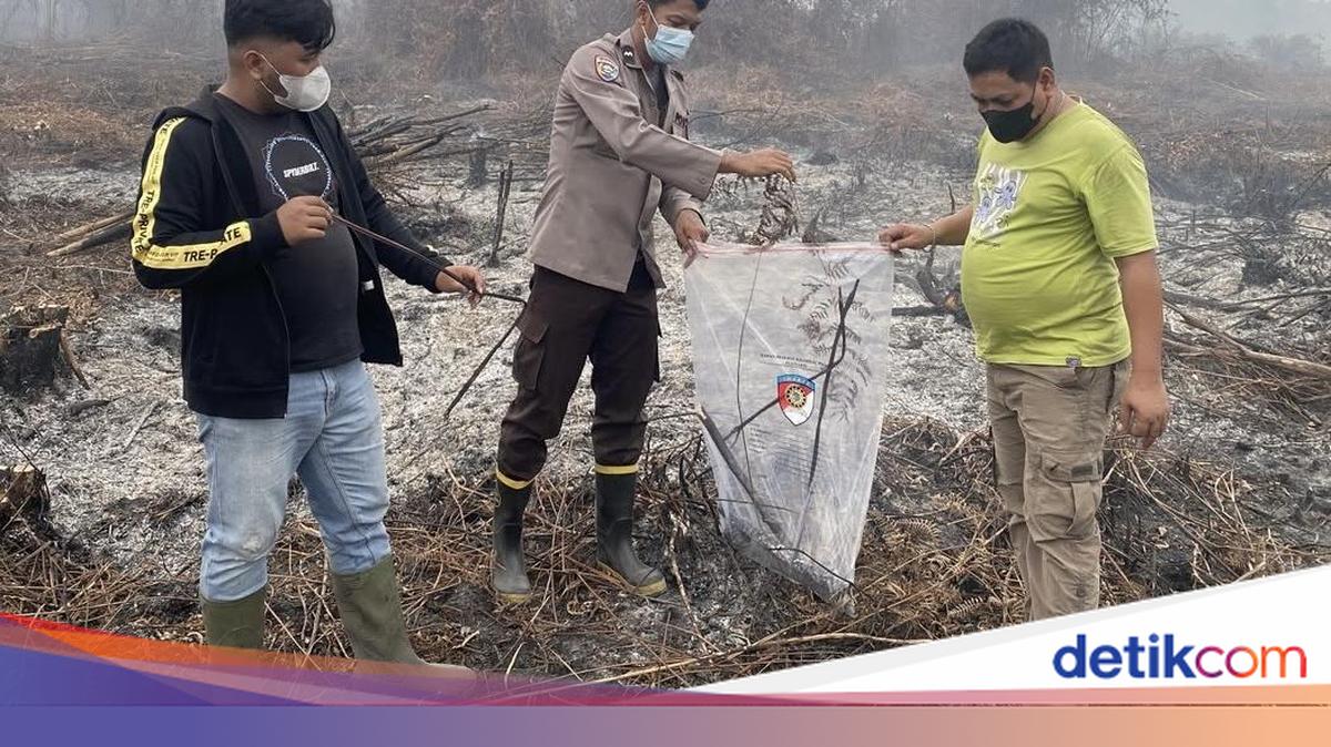 Polisi Olah TKP Lahan yang Diduga Dibakar Anggota DPRD Mempawah