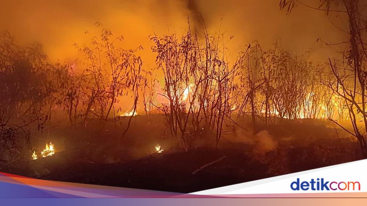 Alang-alang di Kedoya Jakbar Kebakaran, Api Sempat Menyala Besar