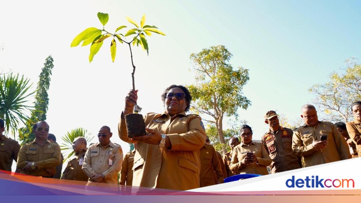 Gerakan Indonesia ASRI, Wamendagri Dorong Penghijauan di NTT
