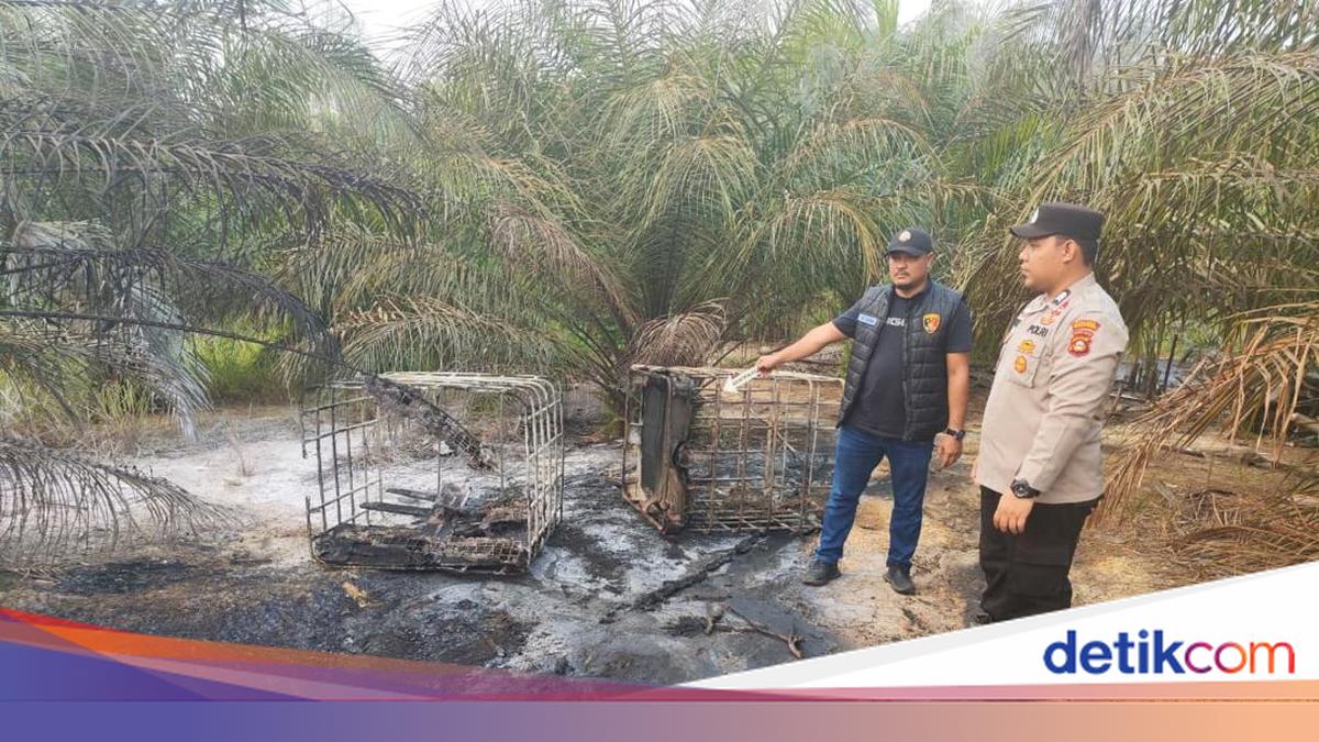 Tempat Penampungan Minyak Mentah Ilegal di Muba Terbakar