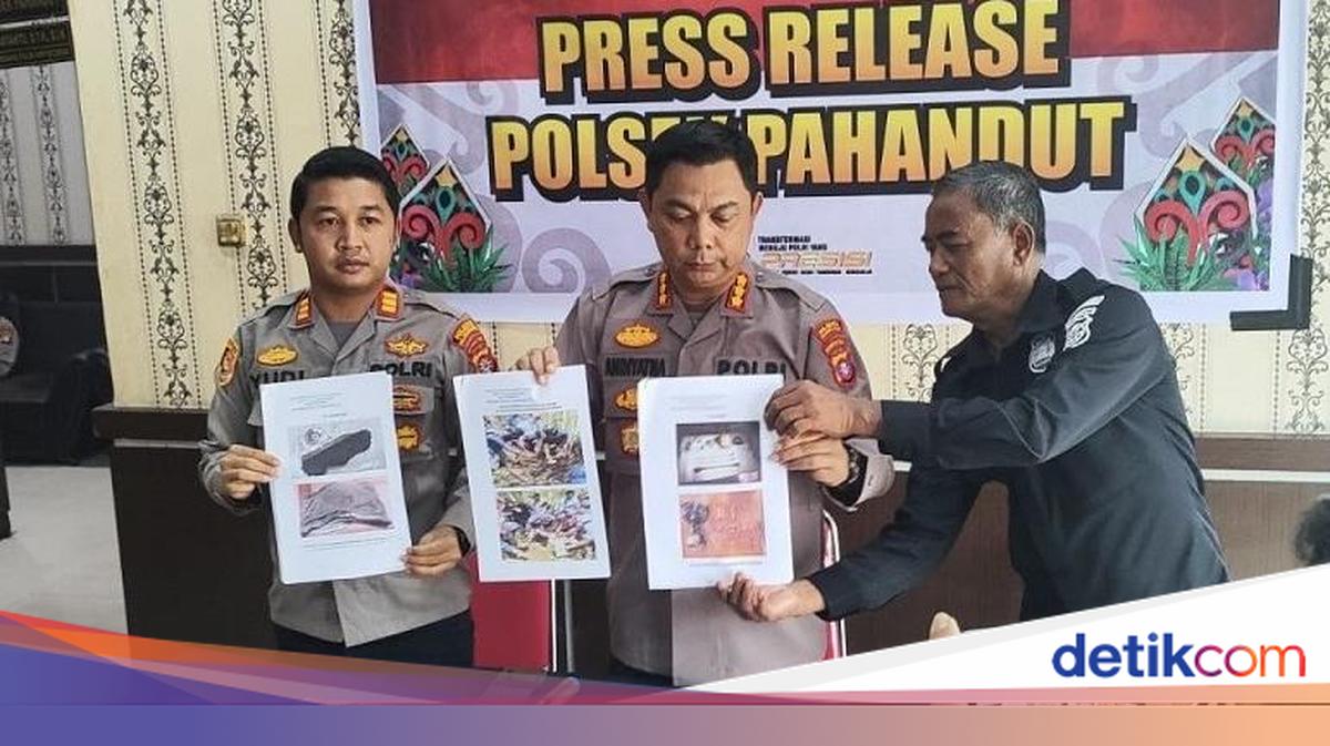 Wanita Sampit Dibunuh-Dibuang Suami ke Hutan, Baru Terkuak 2 Tahun Kemudian