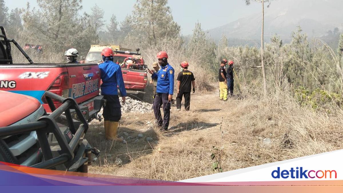 Gambar berita