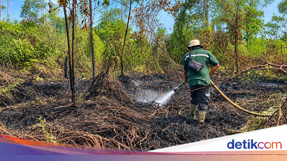 Gambar berita