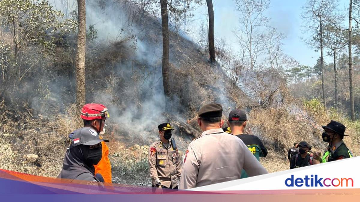 Gambar berita