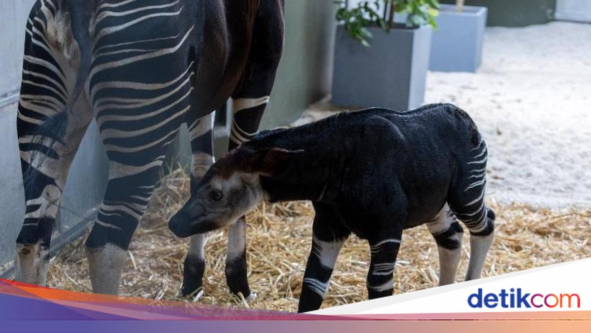 Gambar berita