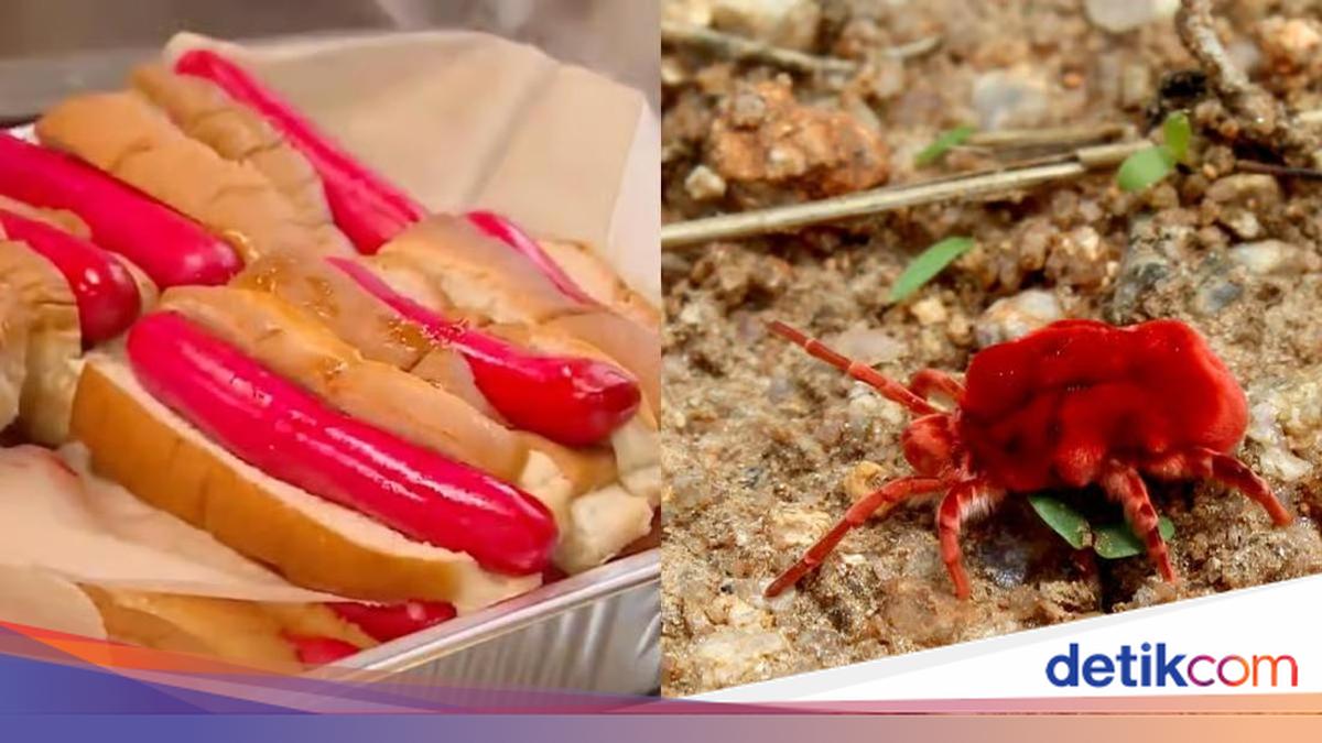 Wah! Hot Dog Legendaris Ini Kini Diwarnai dengan Ekstrak Serangga
