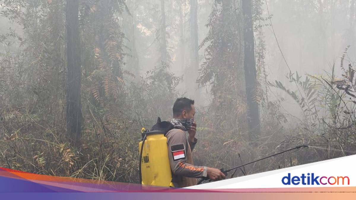 Gambar berita