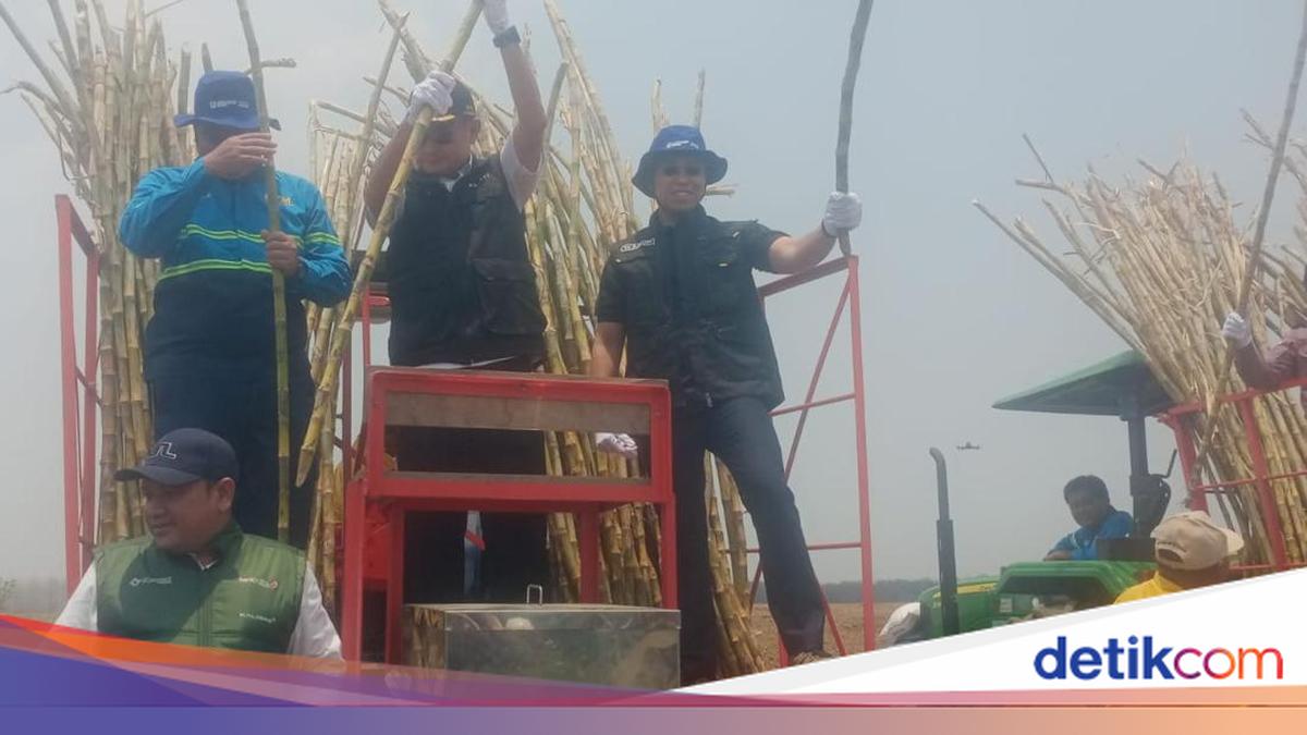 Gambar berita