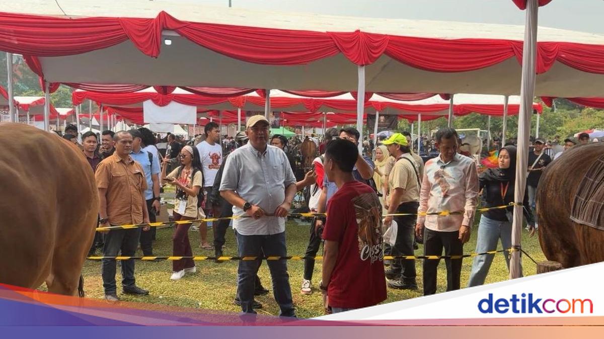Sapi Ramai Kontes Sapi Usai, Bupati Bogor Harap Prestasi Jadi Penyemangat Peternak