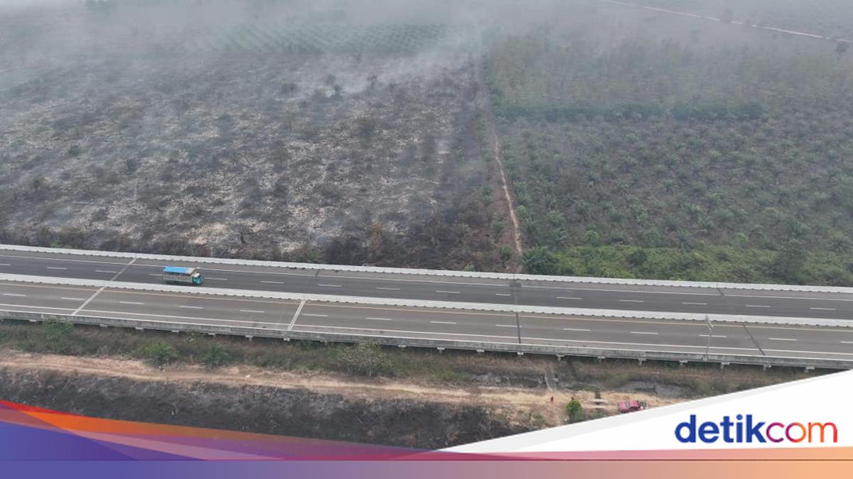 South Sumatra Records 579 Wildfire Hotspots, Mostly in Ogan Komering Ilir