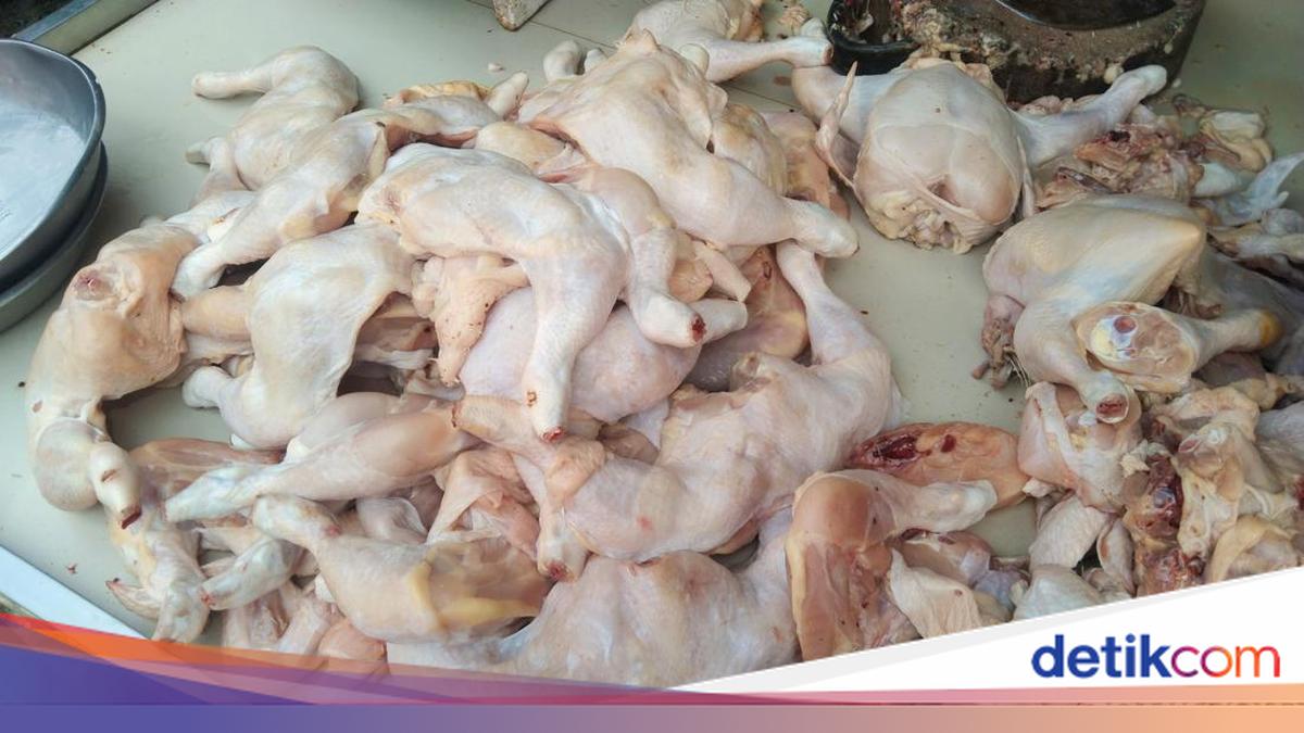 Harga Ayam di Medan Turun, Tapi 4 Daerah Ini Masih Mahal
