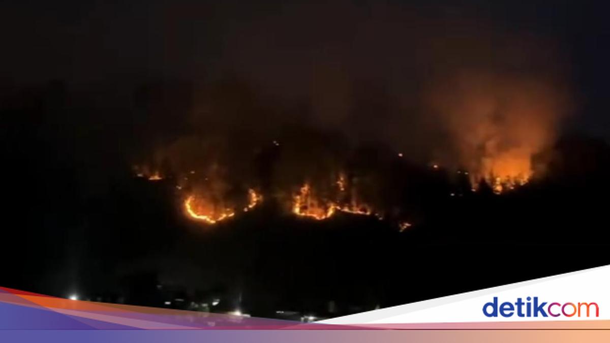 Mamasa Dikepung Kabut Asap Karhutla, Aktivitas Warga Terganggu