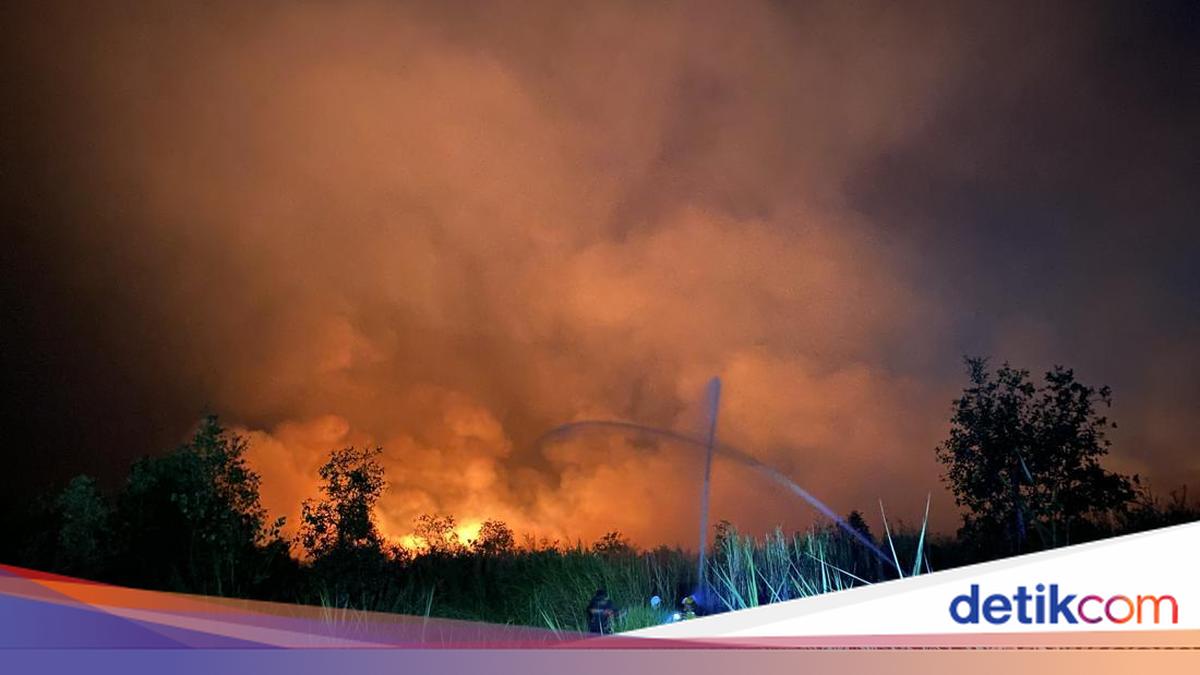 Karhutla di Barito Kuala, Api Kepung Kampus dan Bakar 2 Rumah Warga
