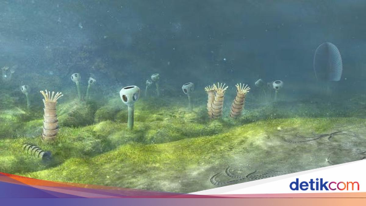 First Animals on Earth Evolved Up to 800 Million Years Ago, Study Suggests