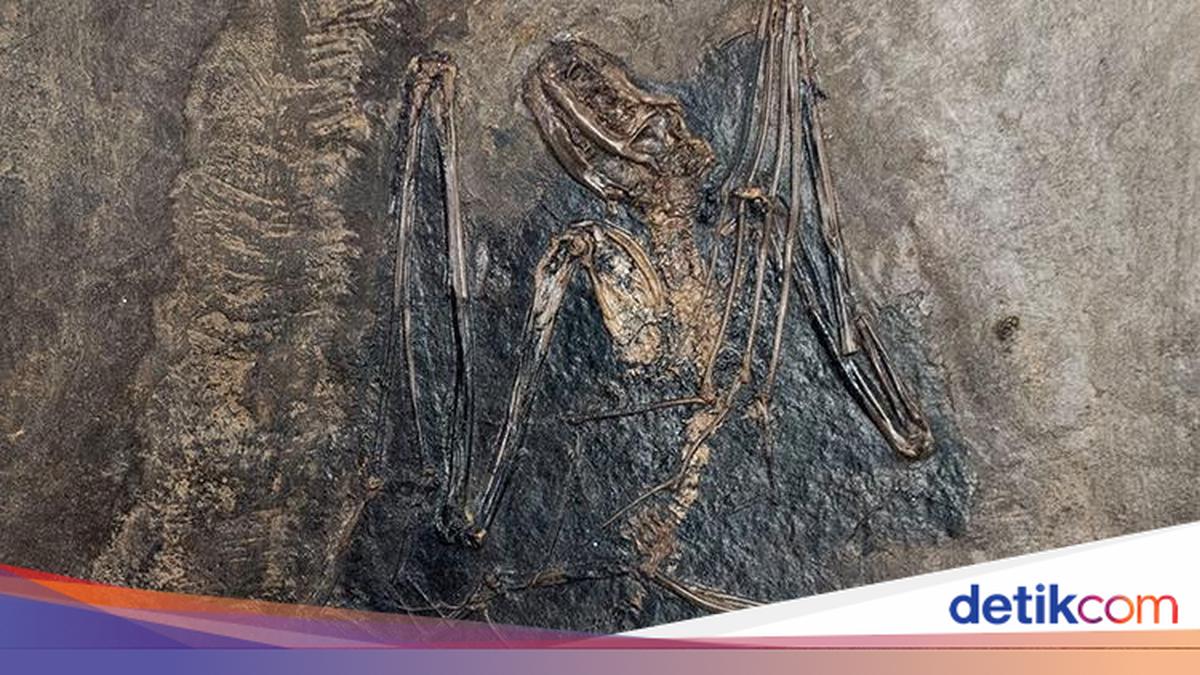 Gambar berita