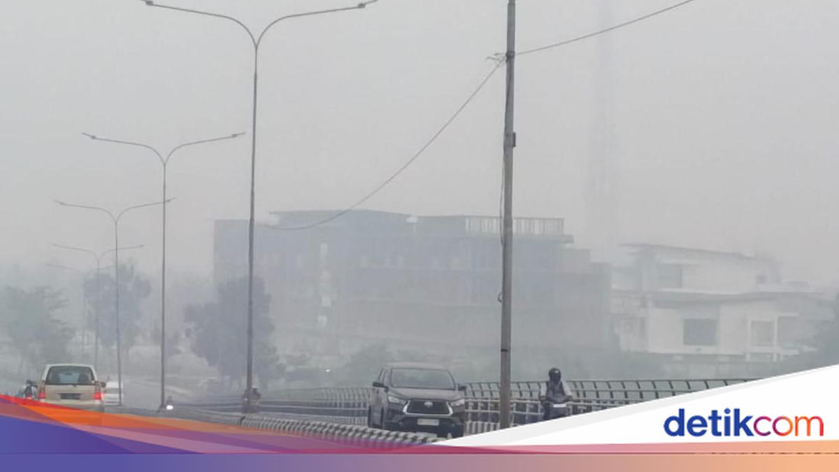 Sepanjang Karhutla di Riau, 28 Ribu Jiwa Terdampak ISPA