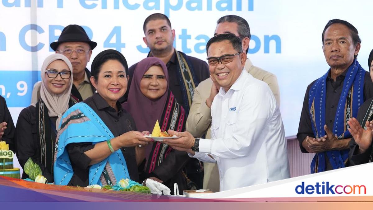Indonesia’s BULOG rice procurement exceeds 4 million tonnes