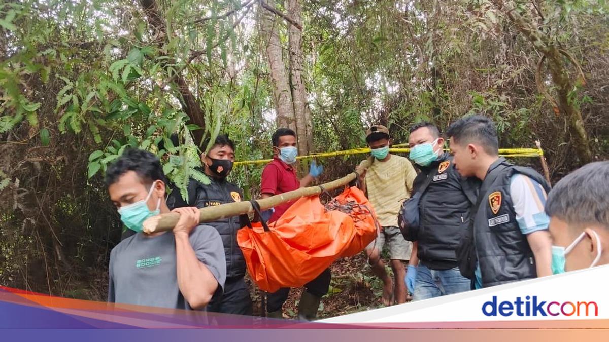 Missing man found dead in forest in South Tapanuli