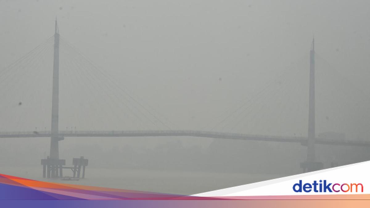 Asap Karhutla Makin Pekat, Kualitas Udara Jambi Berbahaya