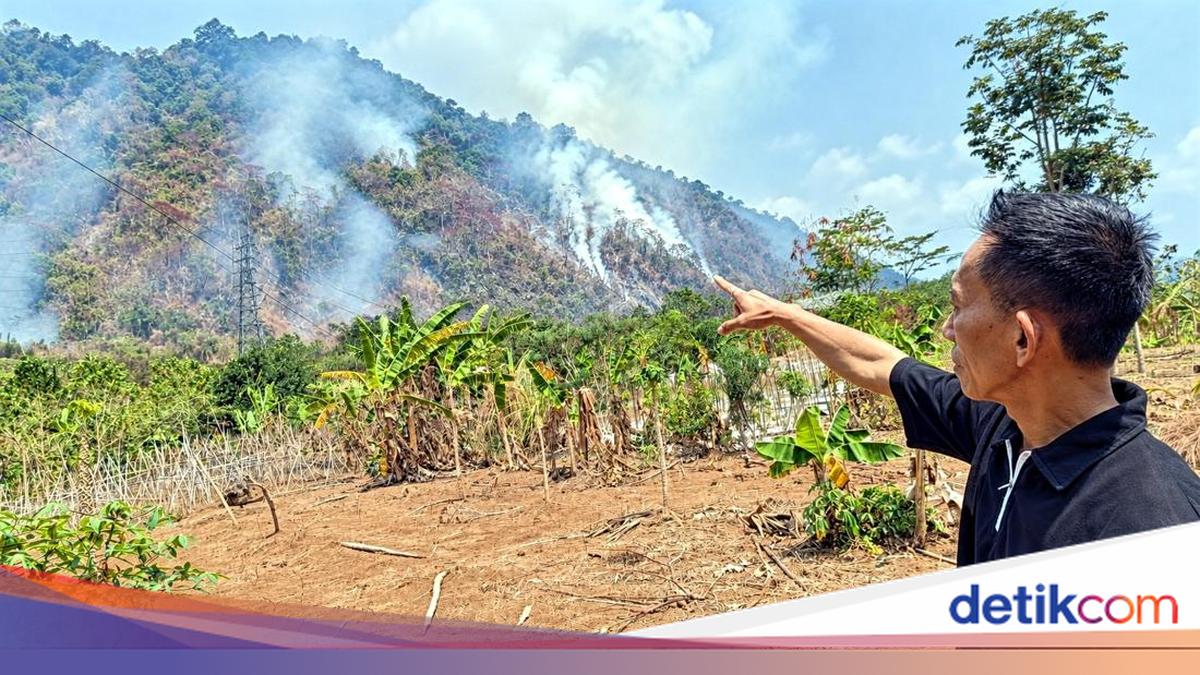 Lereng Gunung Jayanti Sukabumi Terbakar, Api Membesar Dipicu Angin