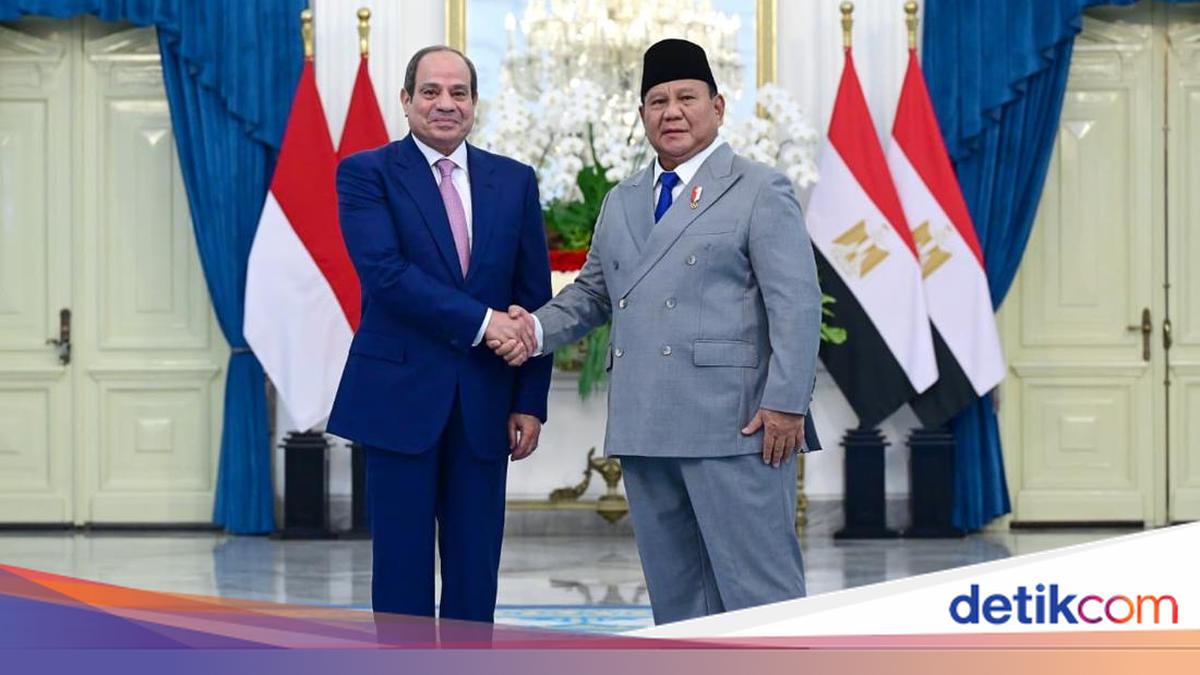 Egypt Offers Additional Scholarships in Medicine, Engineering, and Science for Indonesia