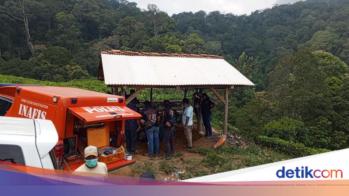 Tragedi Pembunuhan Sopir Taksi Online di Kebun Teh Sumedang