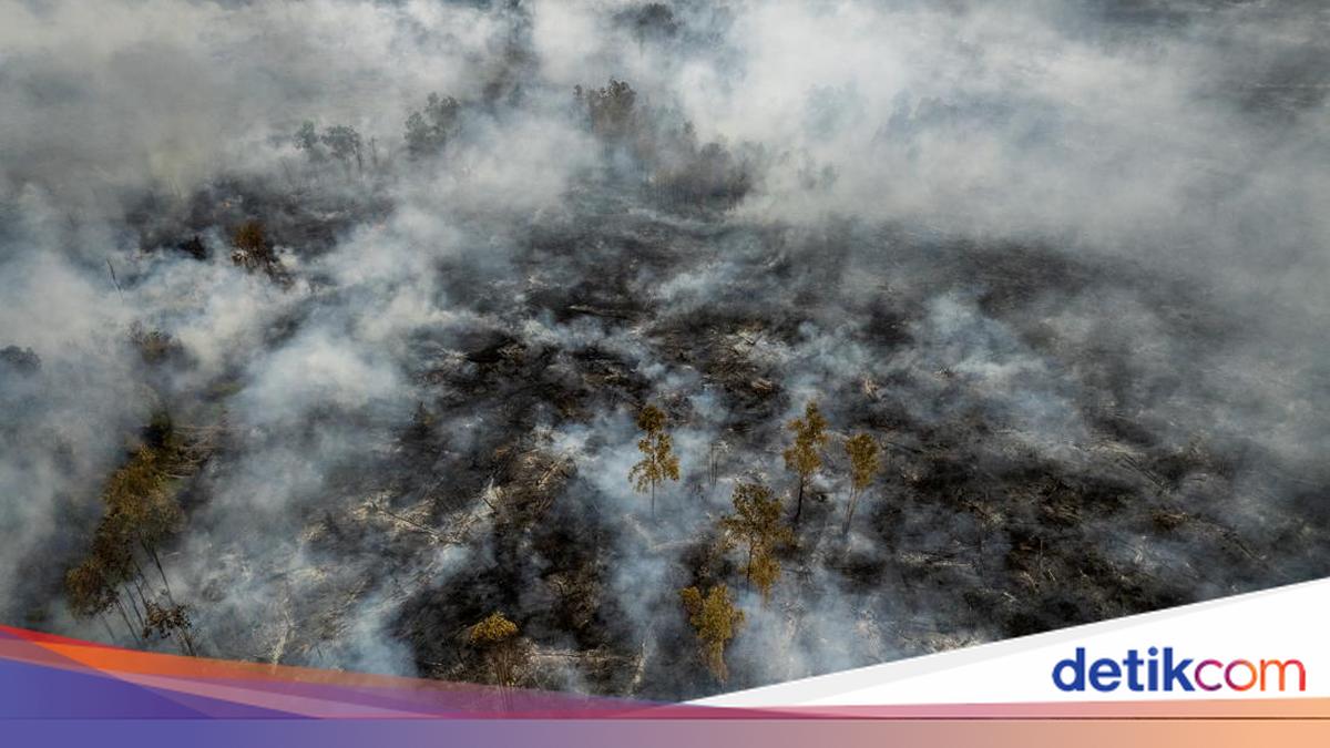 Gambar berita