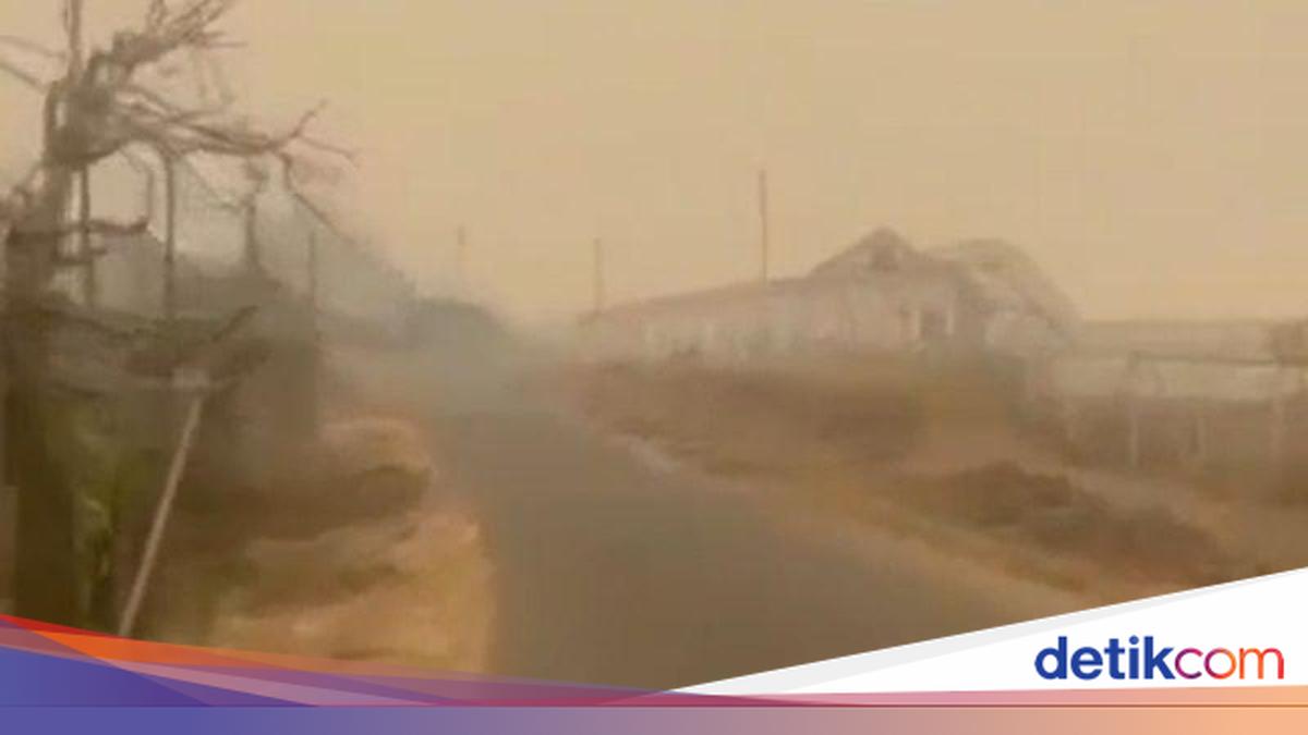 Siswa di Papua Selatan Belajar Online Imbas Asap Karhutla