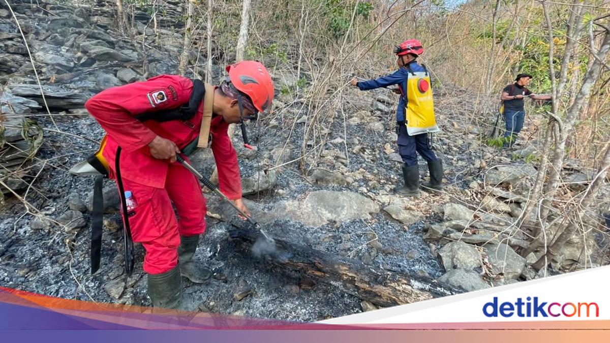 Duh! Kebakaran Hutan Karst Pangkep Ancam Situs Purba, Lukisan Gua Jadi ...