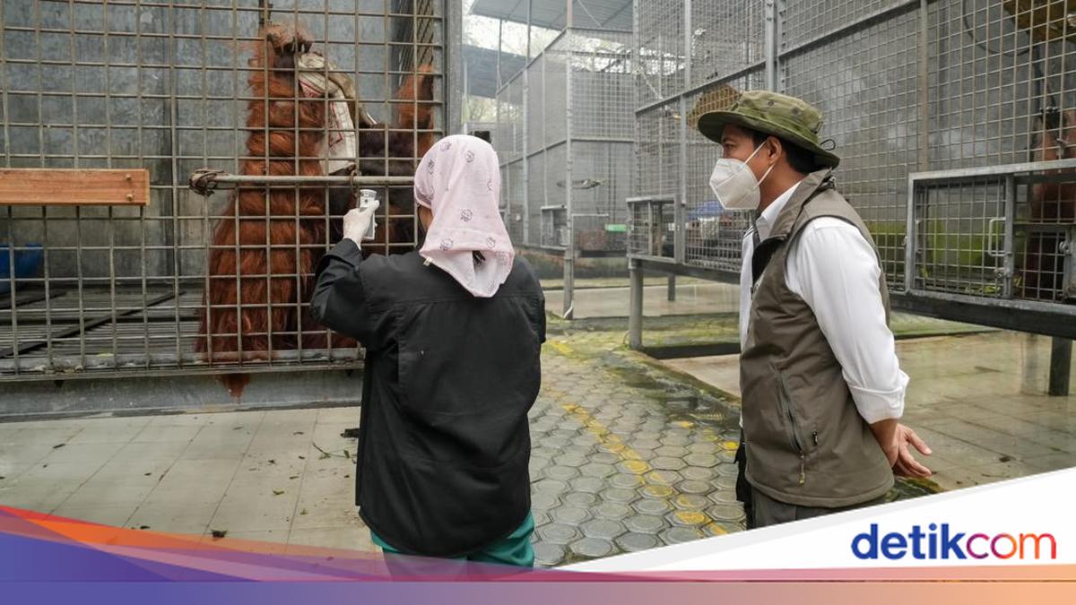 Gambar berita