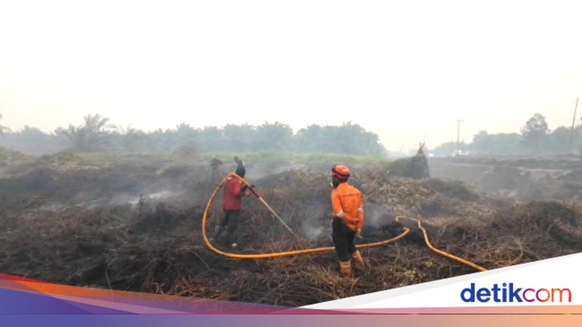 Gambar berita