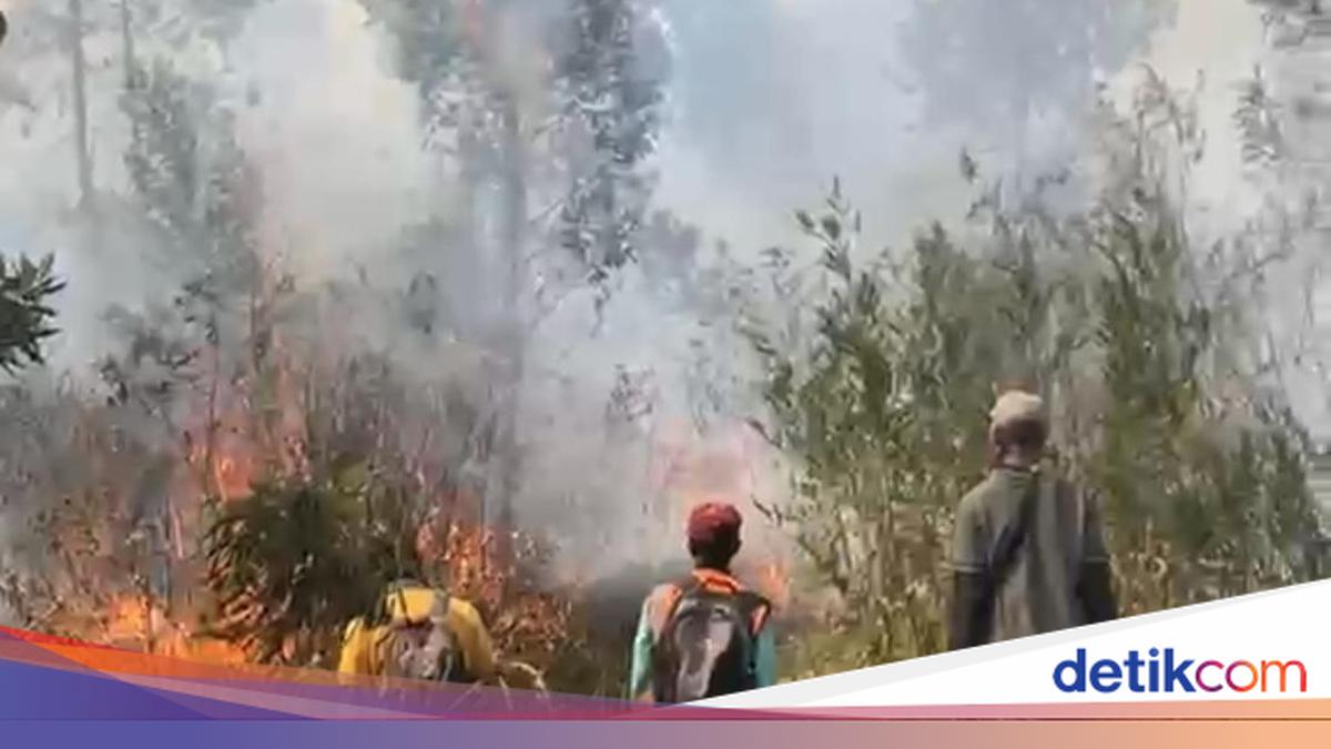 Indonesia’s New Peatland Agency Faces Firefighting and Restoration Test