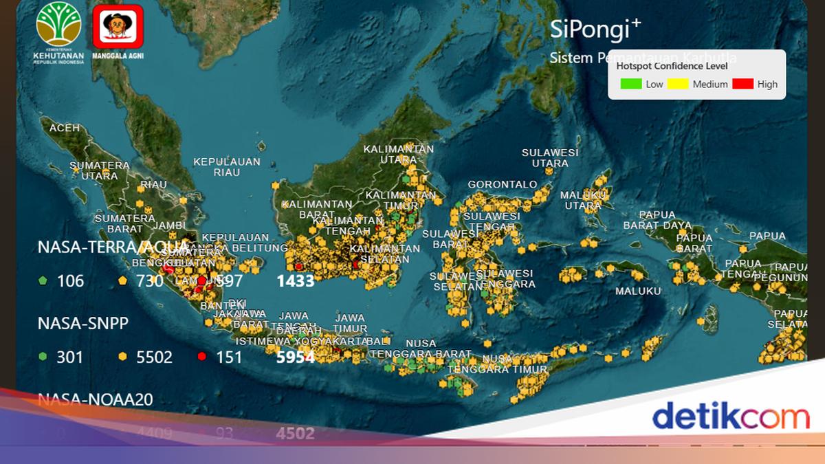Cara Cek Hotspot-Kualitas Udara dari HP, Pantau Karhutla di Situs BNPB