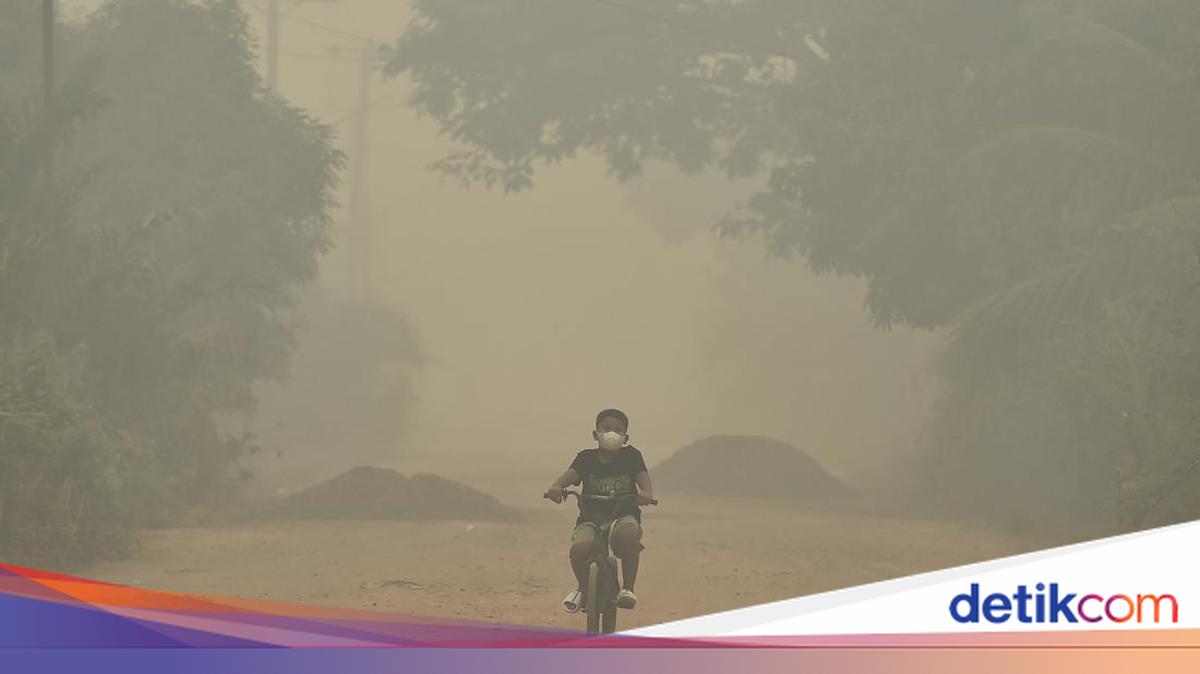 Muhammadiyah: Karhutla Tak Boleh Dinormalisasi Jadi Bencana Tahunan