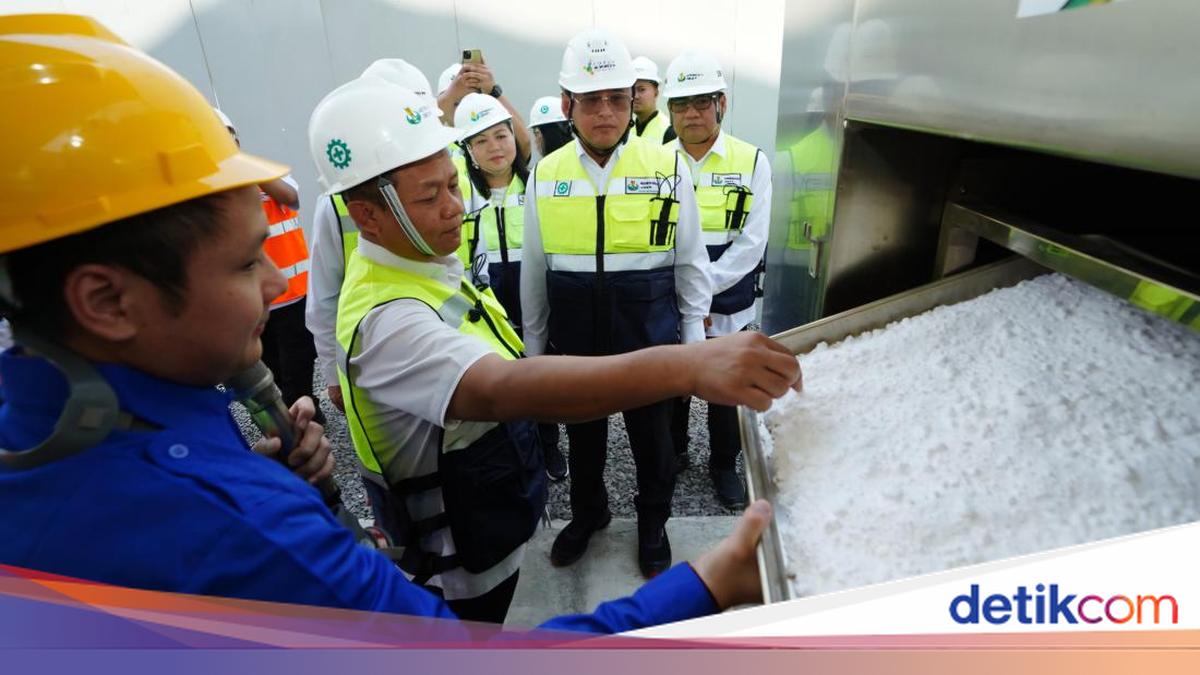 Menperin Sarmuji Apresiasi Petrokimia Gresik Kembangkan Teknologi CCU