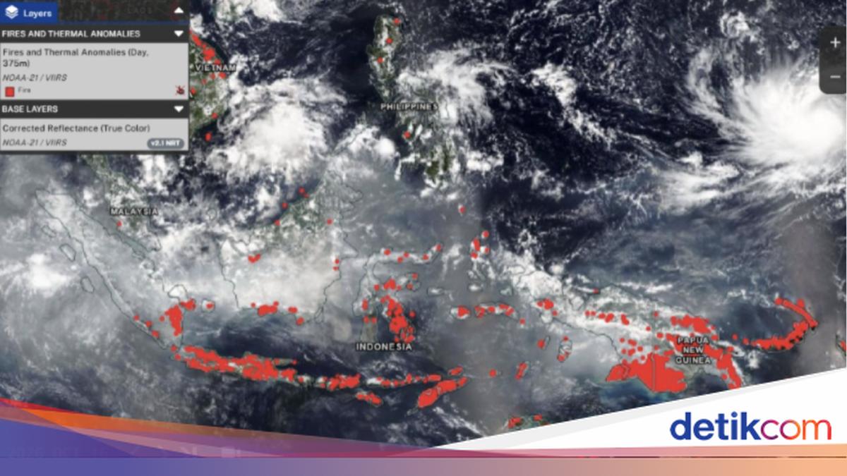 Update! Potret Penampakan Karhutla Indonesia dari Udara Pantauan NASA