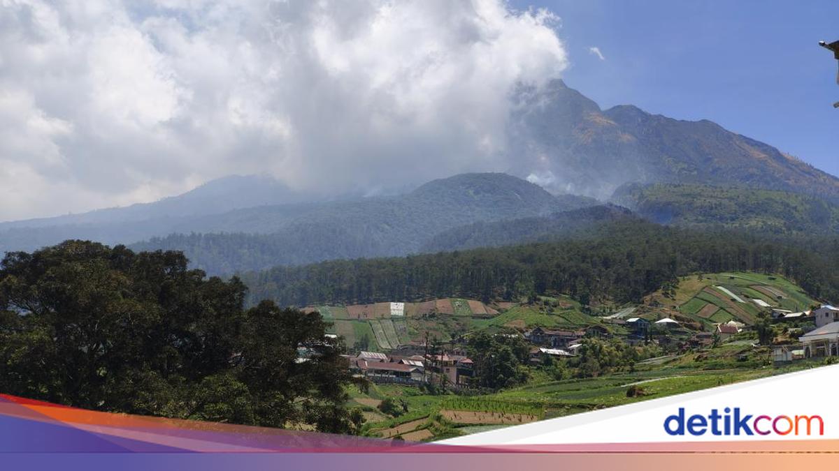 Muncul Dugaan Kebakaran Lereng Gunung Lawu Dipicu Ulah Manusia