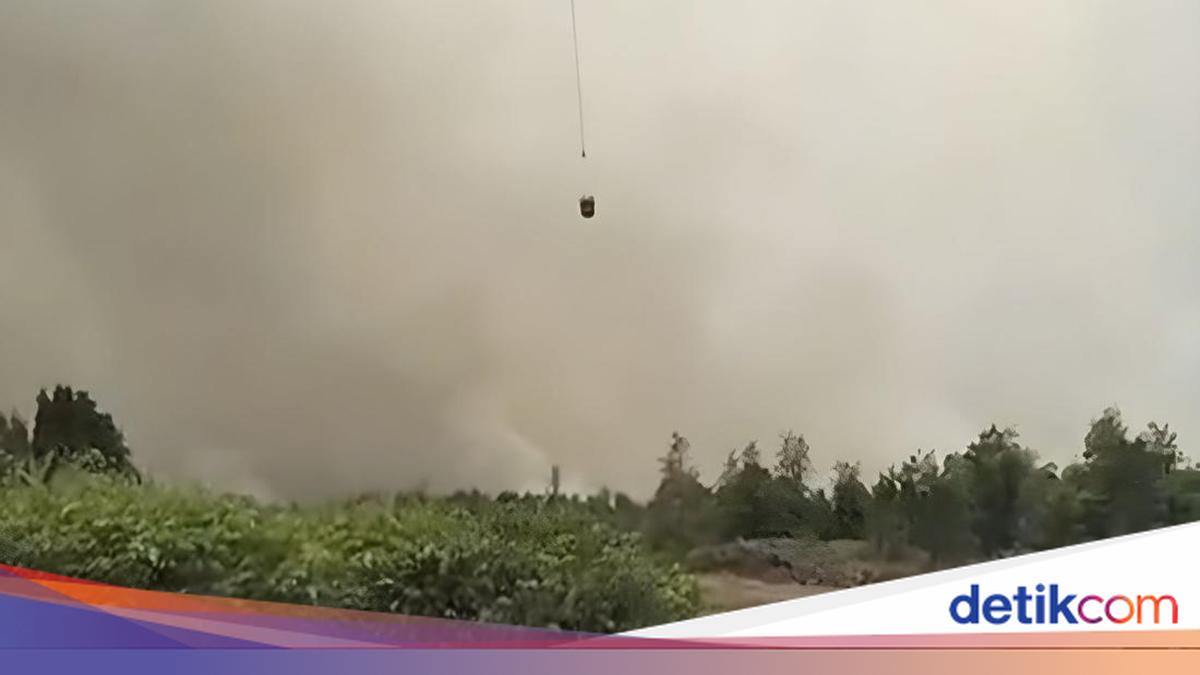 BPBD Hulu Sungai Selatan Apresiasi Anak Usaha AALI Tangani Karhutla