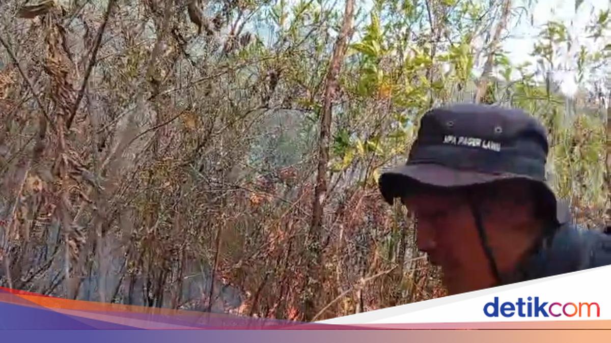 Lereng Gunung Lawu Kebakaran, Api Meluas ke Arah Jalur Pendakian