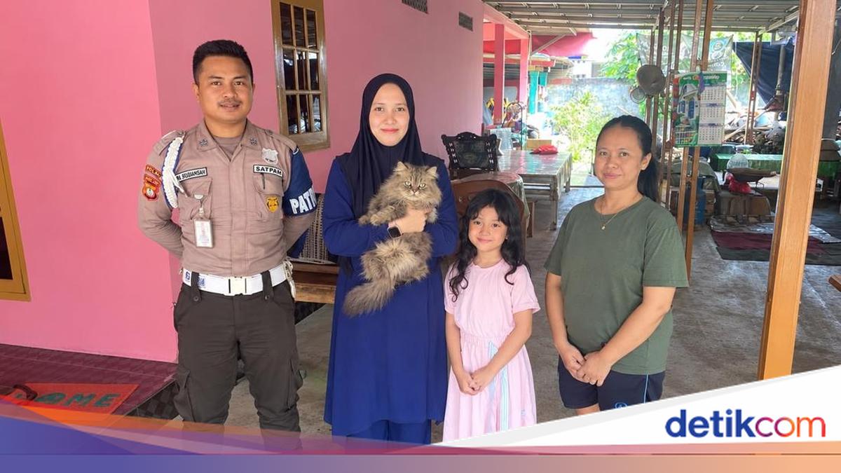 Kucing Cimi yang Hilang Usai Dibawa Abang Mi Ayam Akhirnya Ketemu