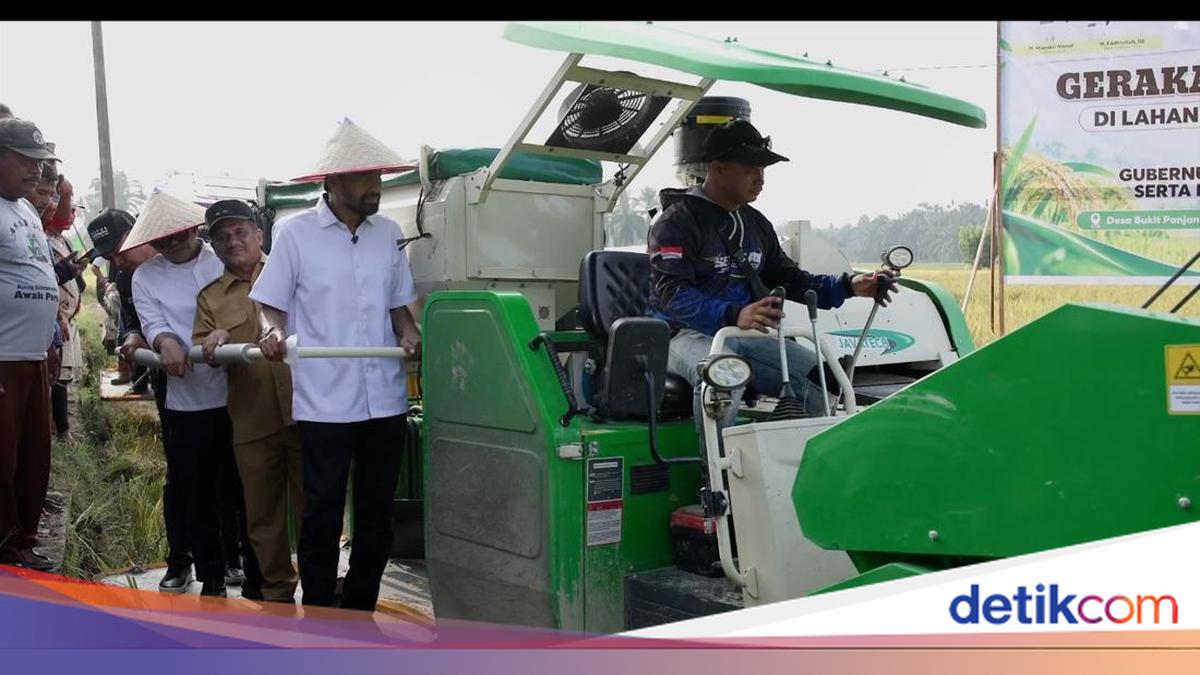 Lahan Pertanian Pulih, Petani Aceh Tamiang Kembali Panen Padi