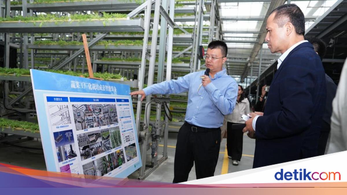 Pelajari Pertanian Berbasis AI di Chongqing, Mentrans Ajak Investasi di RI