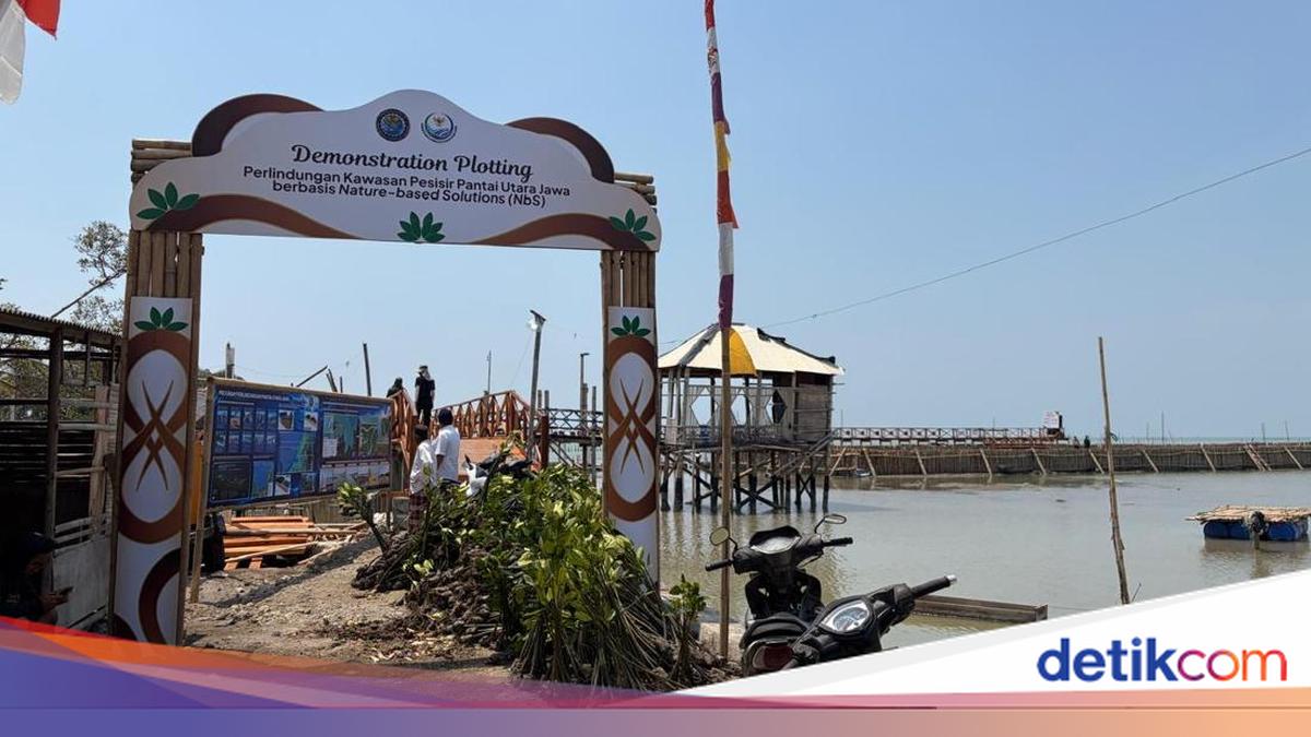 Nature-Based Solution Bawa Harapan Baru bagi Warga Timbulsloko Demak